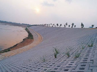 Showcase of Revetment Block