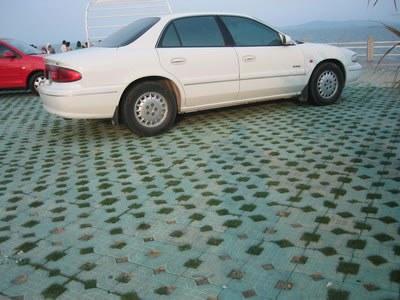 Showcase of Concrete Turf Block (Concrete Grass Pavers)