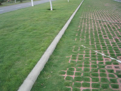 Showcase of Concrete Turf Block (Concrete Grass Pavers)