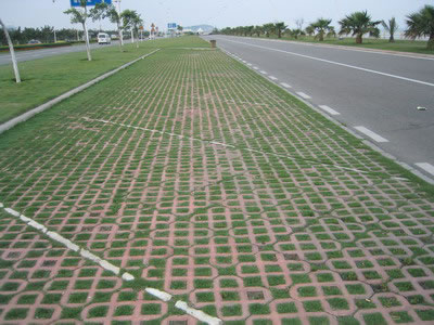 Showcase of Concrete Turf Block (Concrete Grass Pavers)