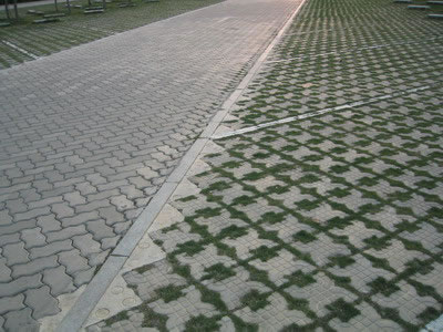 Showcase of Concrete Turf Block (Concrete Grass Pavers)