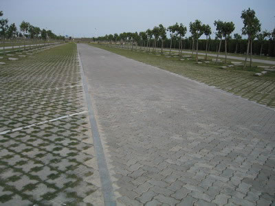 Showcase of Concrete Turf Block (Concrete Grass Pavers)