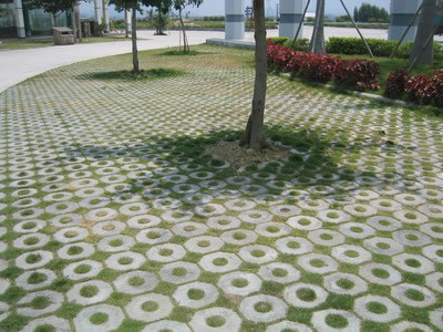 Showcase of Concrete Turf Block (Concrete Grass Pavers)