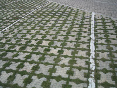 Showcase of Concrete Turf Block (Concrete Grass Pavers)