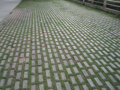 Showcase of Concrete Turf Block (Concrete Grass Pavers)