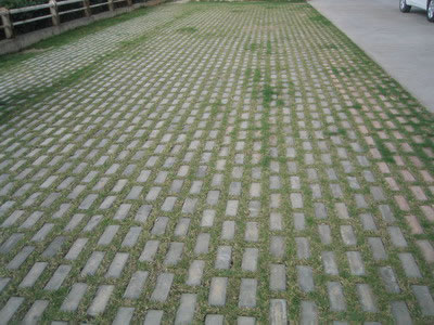 Showcase of Concrete Turf Block (Concrete Grass Pavers)