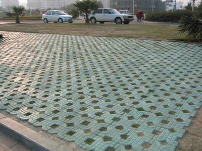 Showcase of Concrete Turf Block (Concrete Grass Pavers)