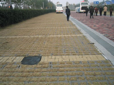 Showcase of Concrete Turf Block (Concrete Grass Pavers)