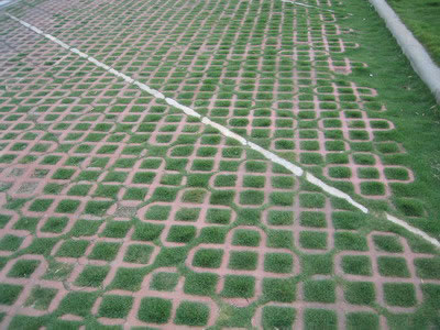 Showcase of Concrete Turf Block (Concrete Grass Pavers)