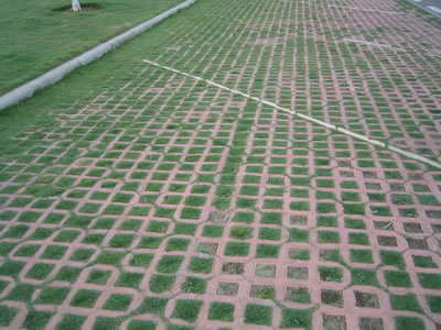 Showcase of Concrete Turf Block (Concrete Grass Pavers)