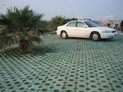 Showcase of Concrete Turf Block (Concrete Grass Pavers)